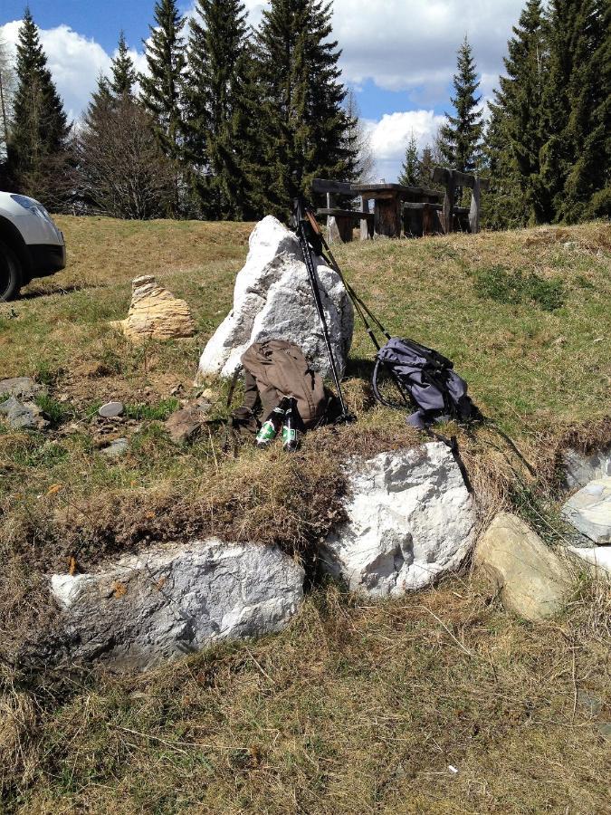 Rauterhof Villa Hermagor-Pressegger See Eksteriør billede